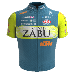 Vini Zab? - KTM